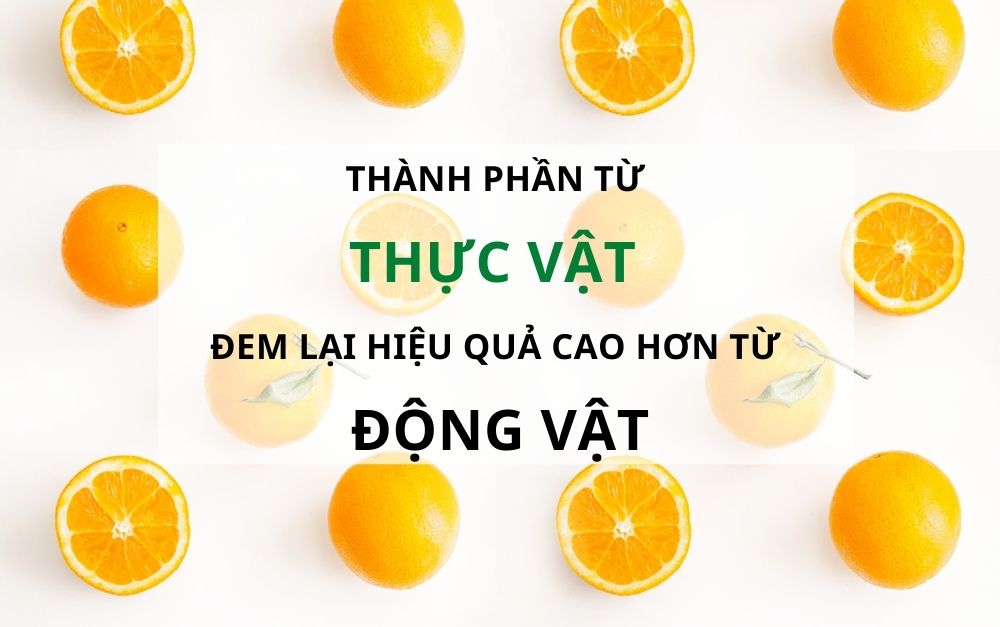 Mỹ phẩm chính hãng Hàn Quốc Dr.HEDISON